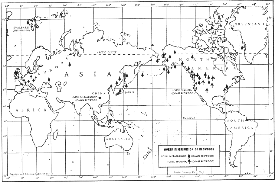 World distribution of Redwoods